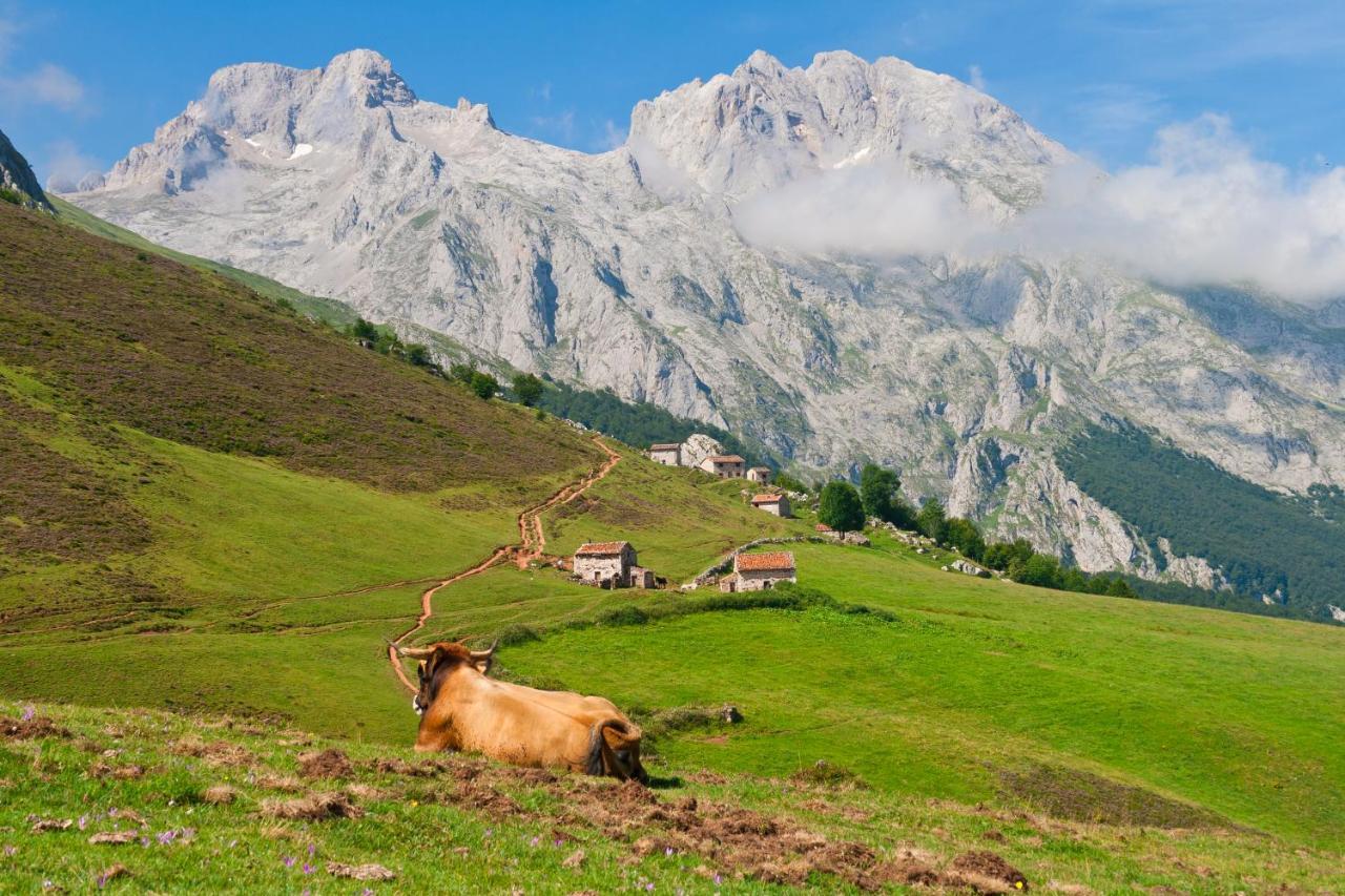 El Caleyon Bed & Breakfast Bulnes Bagian luar foto